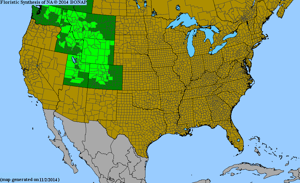County distribution map of Eriogonum umbellatum var. majus - Sulphur-Flower Wild Buckwheat